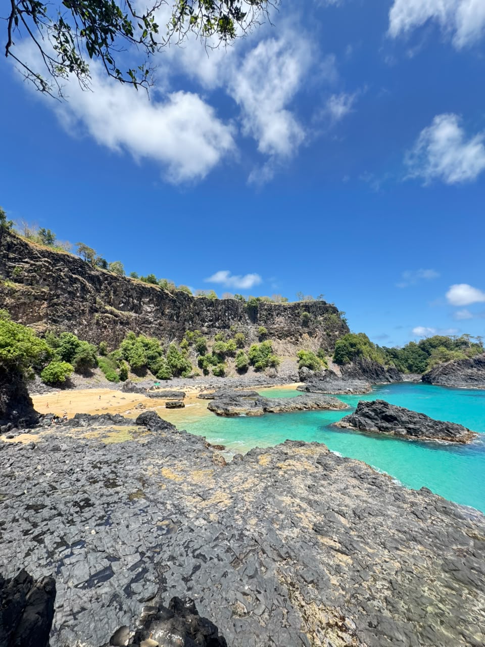 Baía dos Porcos